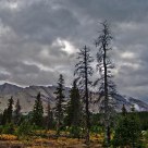 Banff National Park